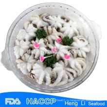 Замороженные морепродукты мороженого осьминога в цветке